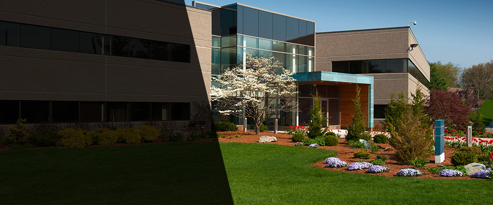 Sunnyside Landscapers